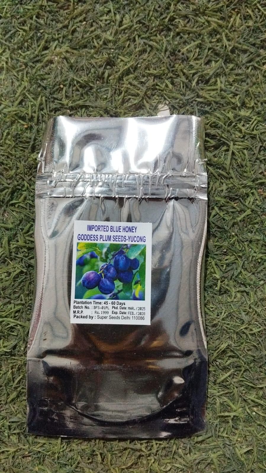 Blue Honey Goddess Plum Seeds